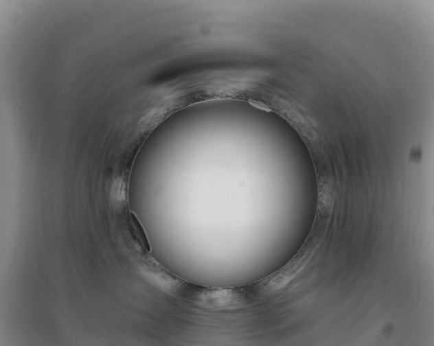 X0000094380431200711091605