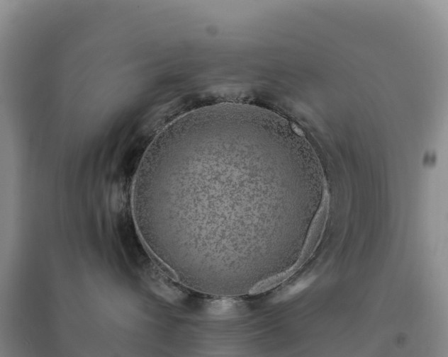 X0000094380432200711091605