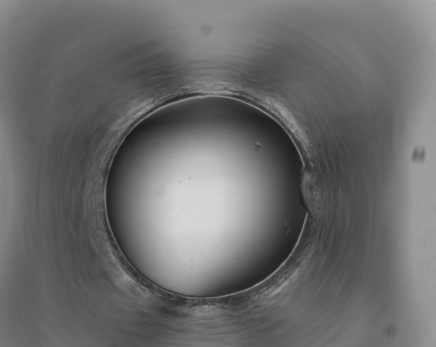 X0000094380433200711091605