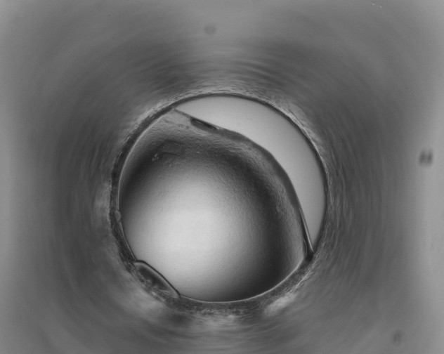 X0000094380434200711091605