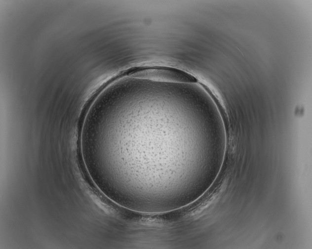 X0000094380437200711091605