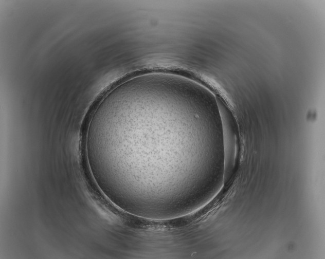 X0000094380439200711091605