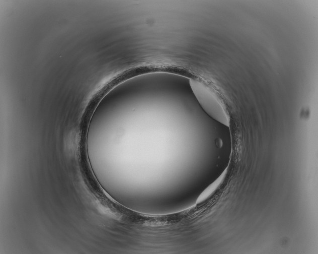 X0000094380440200711091605