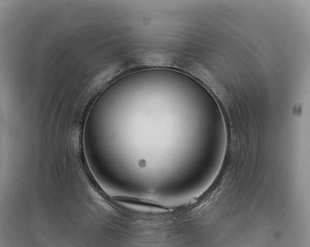 X0000094380441200711091605