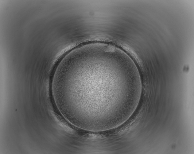 X0000094380442200711091605