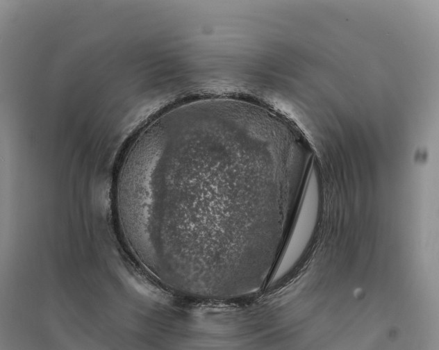 X0000094380443200711091605