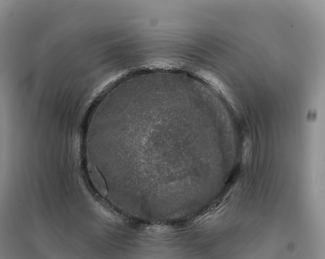 X0000094380444200711091605