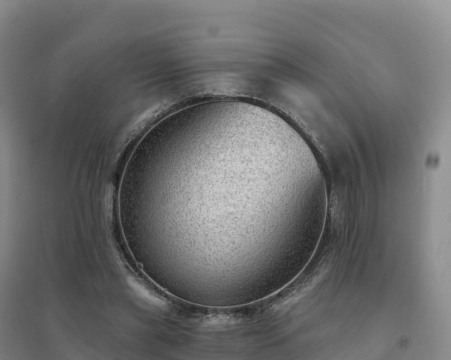 X0000094380445200711091605
