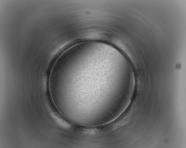 X0000094380446200711091605