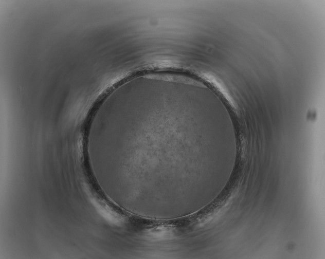 X0000094380447200711091605