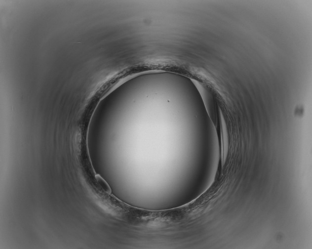 X0000094380448200711091605
