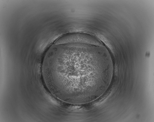 X0000094380449200711091605