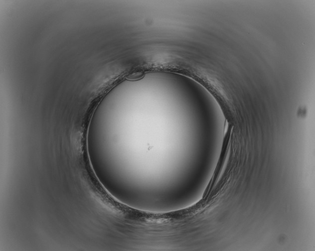 X0000094380450200711091605