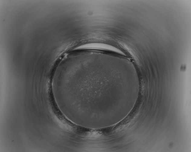 X0000094380451200711091605