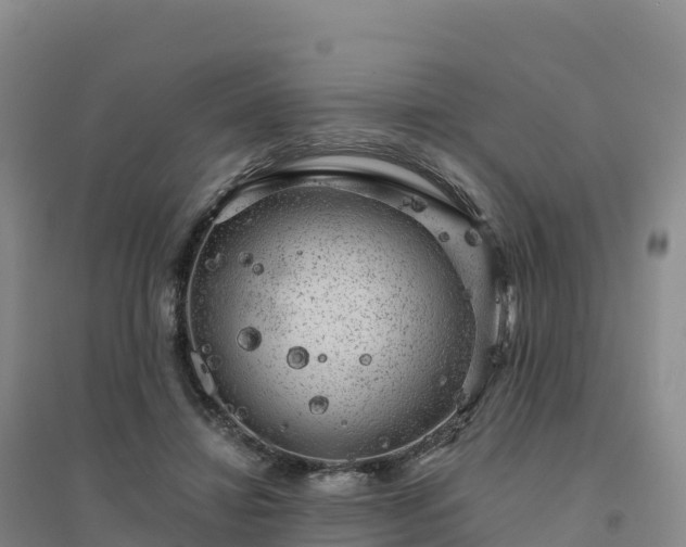 X0000094380452200711091605