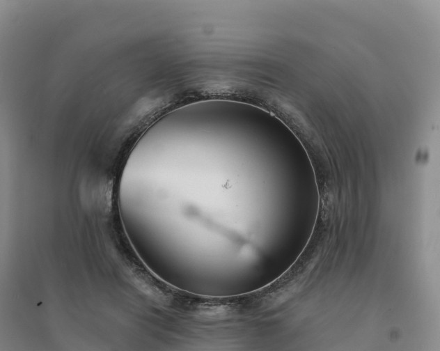 X0000094380454200711091605