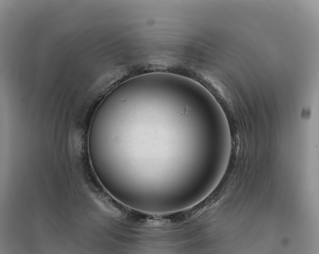 X0000094380455200711091605