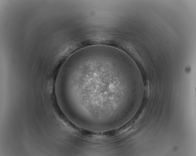 X0000094380458200711091605