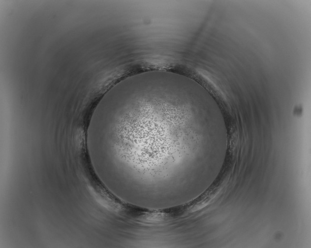 X0000094380459200711091605