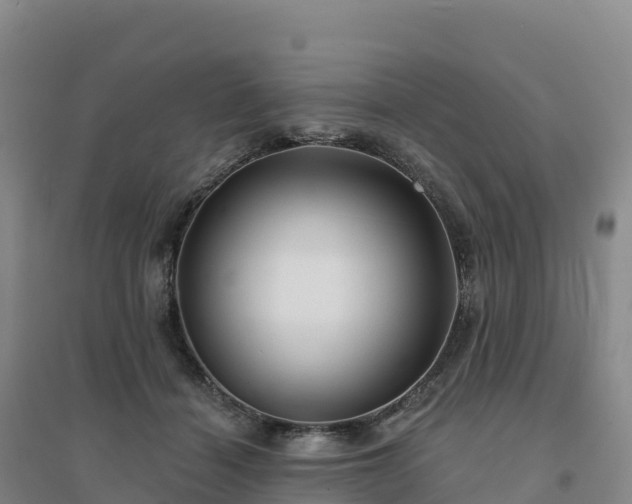 X0000094380460200711091605
