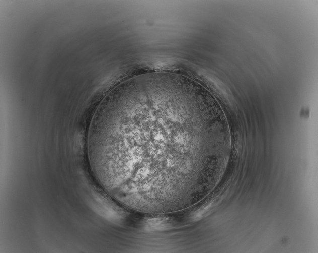 X0000094380461200711091605