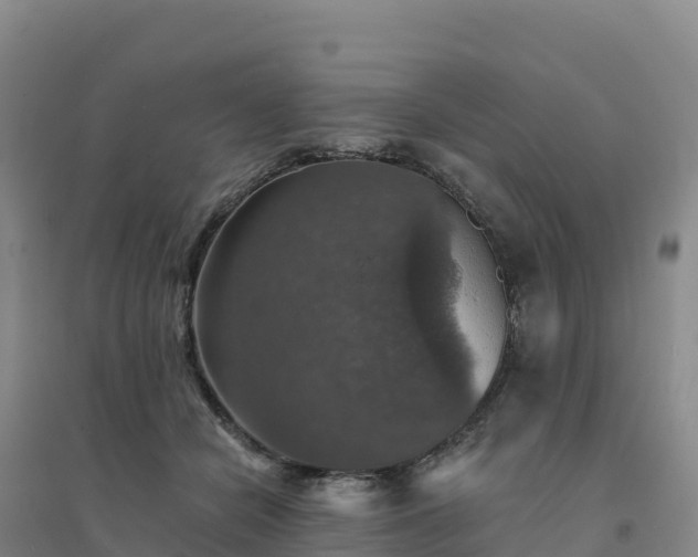 X0000094380462200711091605