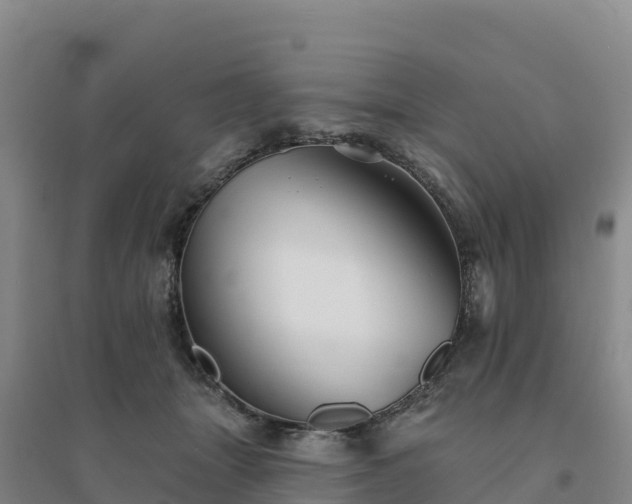 X0000094380463200711091605