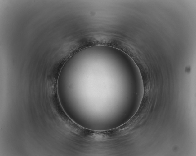 X0000094380464200711091605
