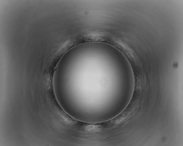 X0000094380465200711091605