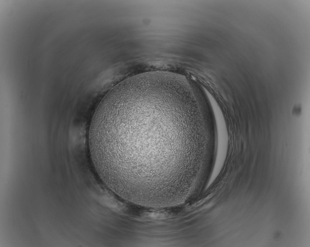 X0000094380466200711091605