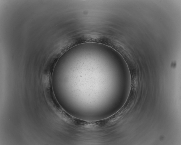 X0000094380468200711091605