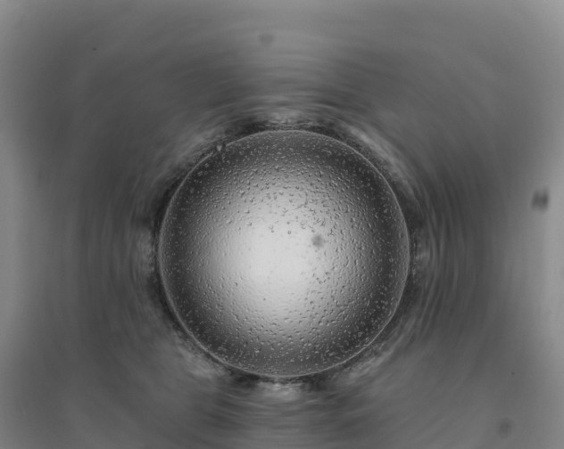 X0000094380469200711091605