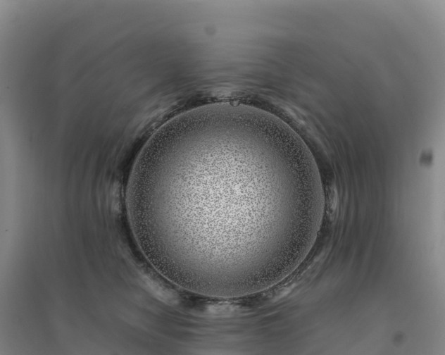 X0000094380470200711091605