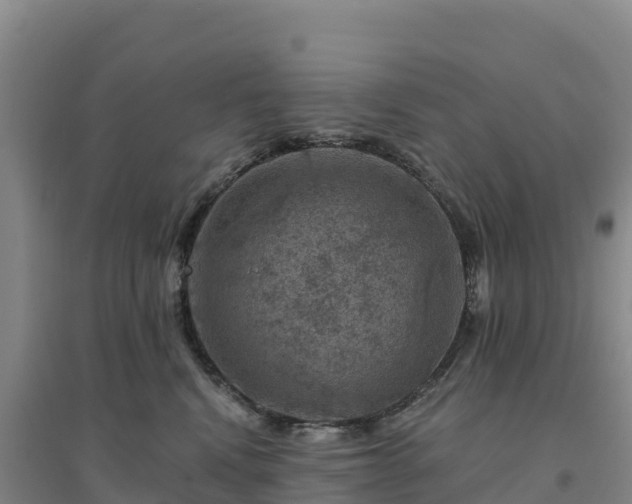 X0000094380472200711091605