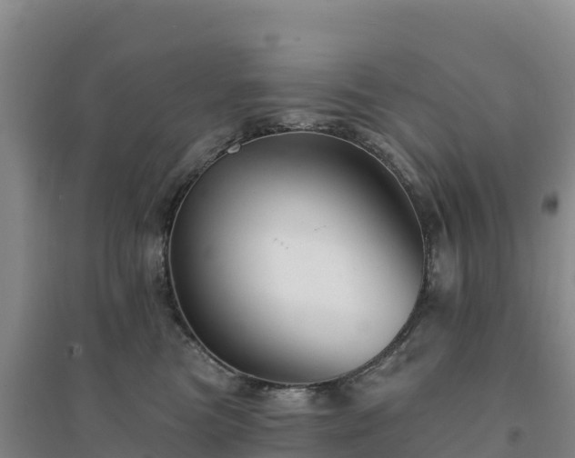 X0000094380473200711091605