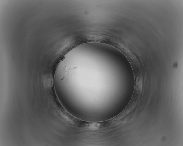 X0000094380474200711091605