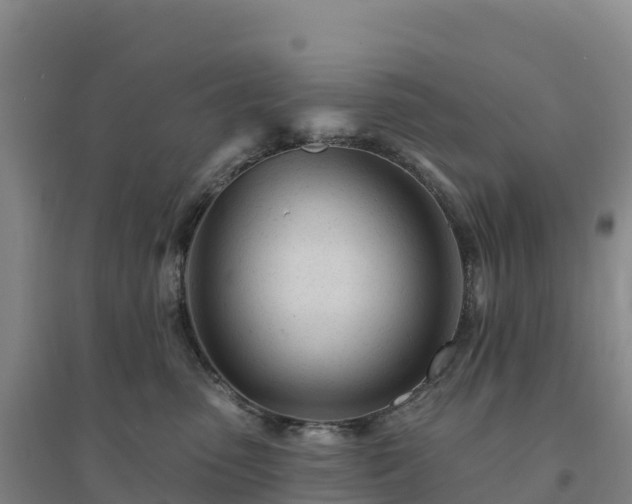 X0000094380475200711091605