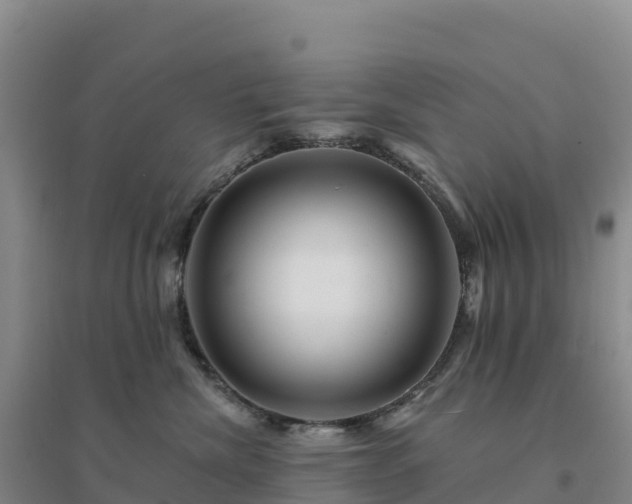 X0000094380476200711091605