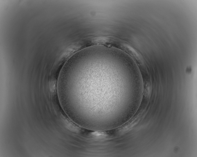 X0000094380477200711091605