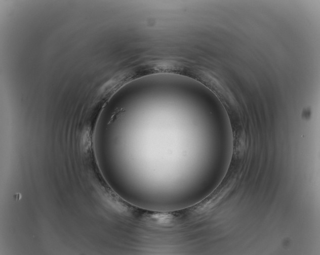 X0000094380478200711091605