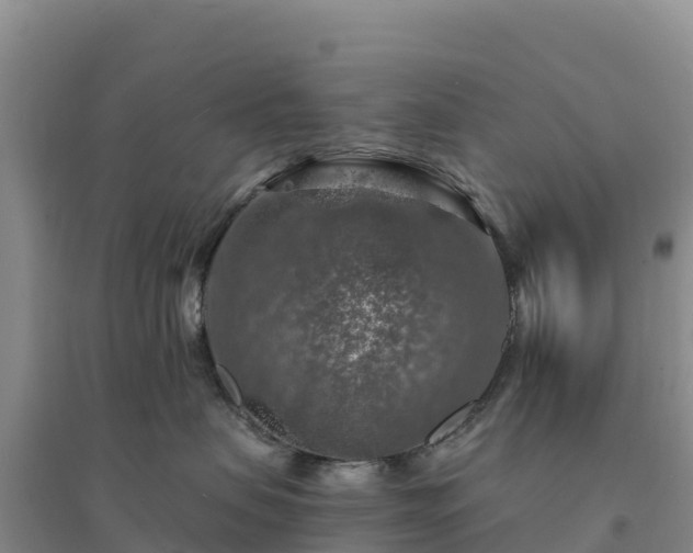 X0000094380479200711091605