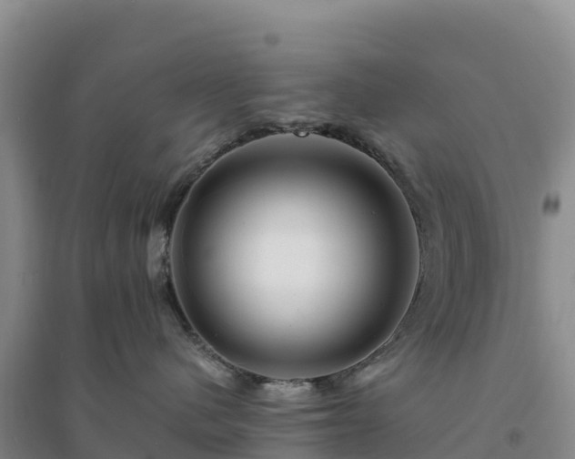 X0000094380480200711091605