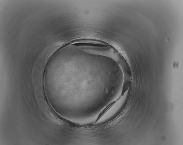 X0000094380481200711091605