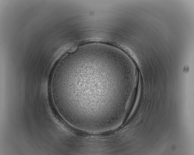 X0000094380482200711091605