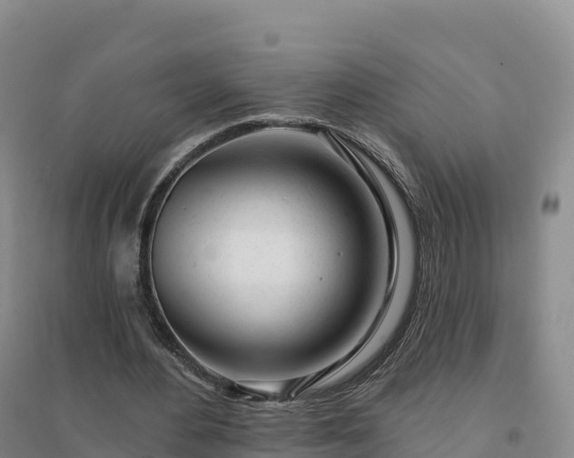X0000094380484200711091605