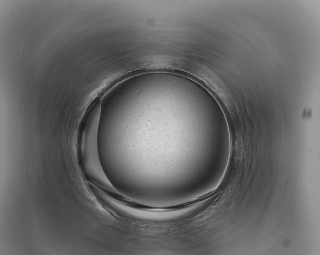 X0000094380485200711091605