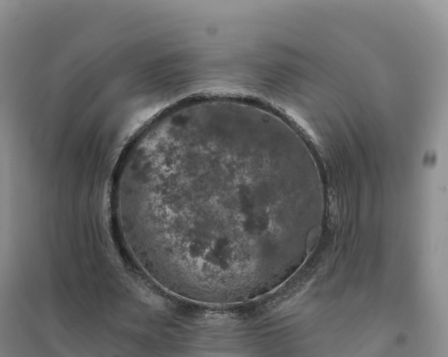 X0000094380487200711091605
