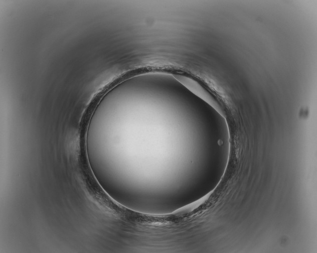 X0000094380488200711091605
