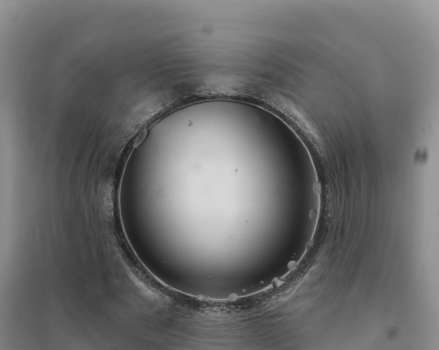 X0000094380489200711091605