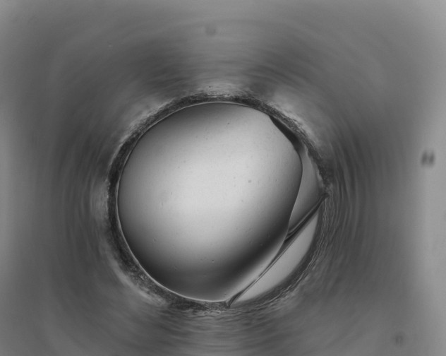 X0000094380492200711091604